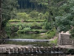 -五泄景区