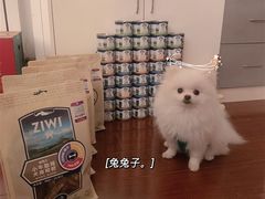 -奈斯宠物医院·核磁CT·异宠专科·内镜(中南店)