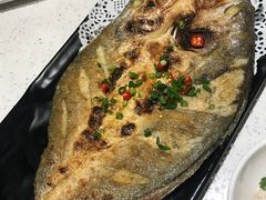 -九府羊·鲜羊火锅·烤串(新华路店)