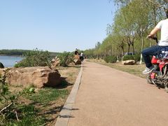 -丁香湖公园
