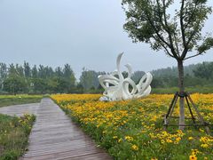 -东郊湿地公园