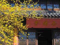 -灵谷景区