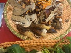 -草墩罗非鱼庄•野生菌•腊排骨(七星街上段店)