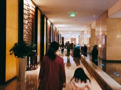 -常州环球恐龙城维景国际大酒店