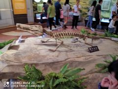 -自贡恐龙博物馆