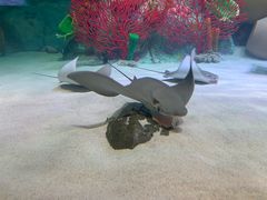 -沈阳海洋探索中心