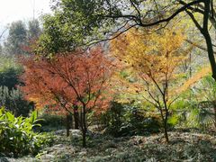 -黄公望隐居地