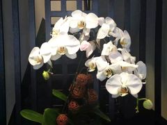 -萬國春·中菜馆(颐和公馆店)