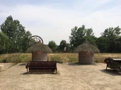 -溱湖国家湿地公园