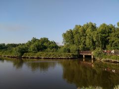 -大亚湾红树林城市湿地公园