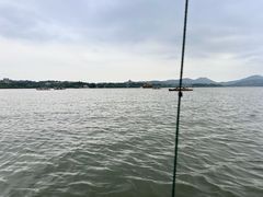 -西湖游船