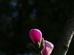 -东华门大街小区