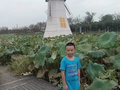 -武汉紫薇都市田园