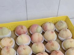 -老袁家蜜桃农场·阳山水蜜桃