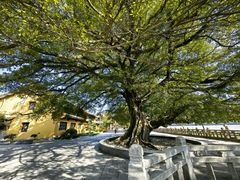 -江心屿景区