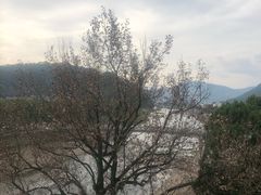-蒋氏故居