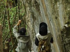 -百色大石围天坑群