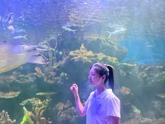 -华夏文旅海洋公园