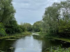 -溱湖国家湿地公园