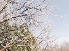-泰丰公园