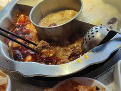 -辣度火锅(东方城市广场店)
