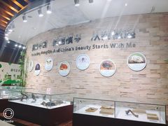 -芒洲湿地公园