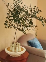 -尊尚柏丽美容SPA