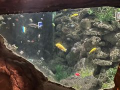 -长鹿旅游休博园