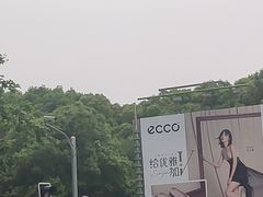 -上海虹口糕团食品厂(茂名路店)