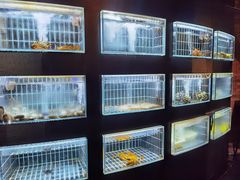 -鱼翅楼·津派砂锅鱼翅(水上公园店)
