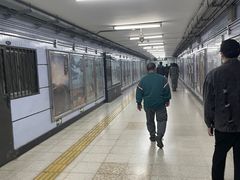 -大望路(地铁站)