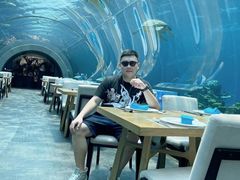 -涛·海底餐厅·美人鱼·自助餐·海底隧道(三亚海棠湾洲际度假酒店)