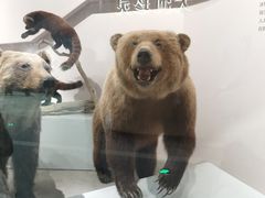 -武汉园博园(武汉自然博物馆)