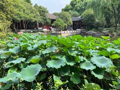 -秋霞圃
