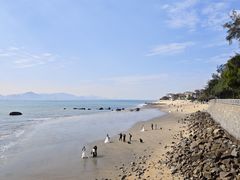 -无味舒食(环岛路店)