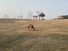 -良渚古城遗址公园