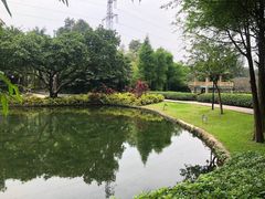-晓港公园
