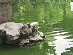 -西园寺素食(西园弄戒幢律寺店)