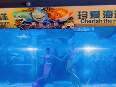 -成都浩海立方海洋公园