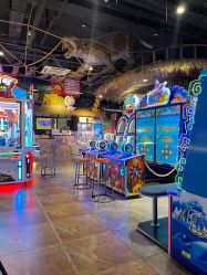 -卡通尼·Safari非洲探索乐园·生日会(金桥国际商业广场店)