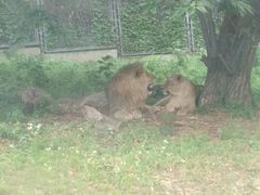 -西安秦岭野生动物园