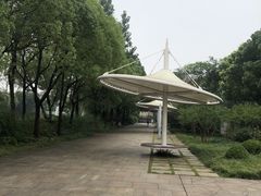 -新江湾城公园