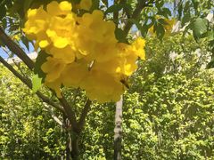 -福禄财东北菜(珠江帝景店)