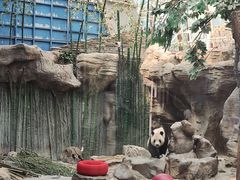 -北京动物园