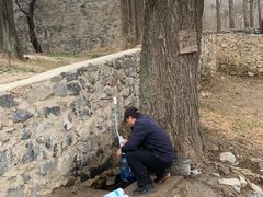 -阳台山自然风景区