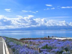 -赛里木湖风景名胜区