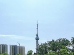 -诸城市恐龙博物馆