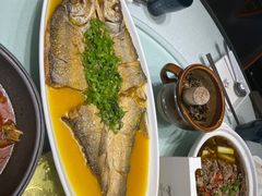 -三强鸽子(中原路店)