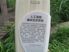 -成都市活水公园