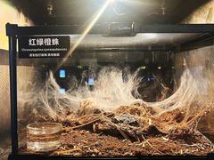 -太平洋海底世界